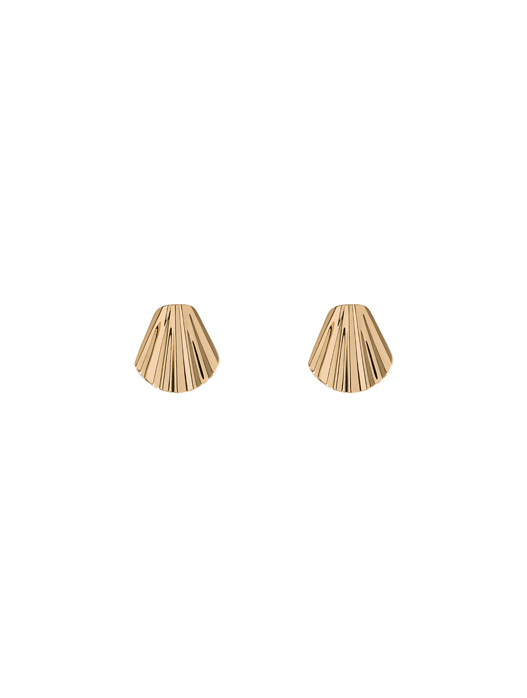 Mini Seashell Earrings