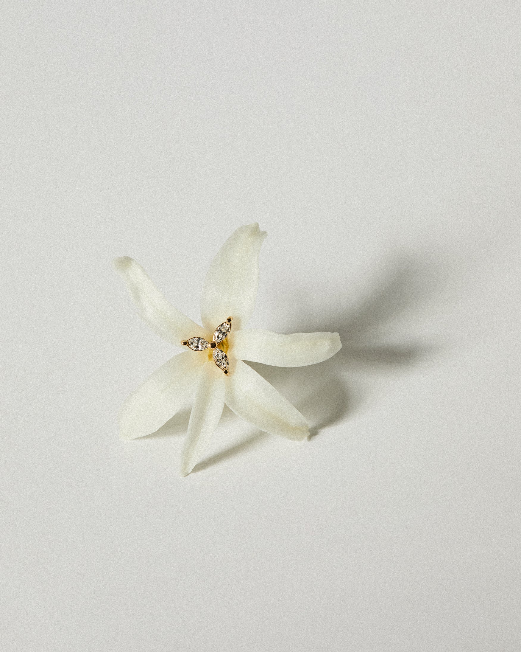 Stella Earrings