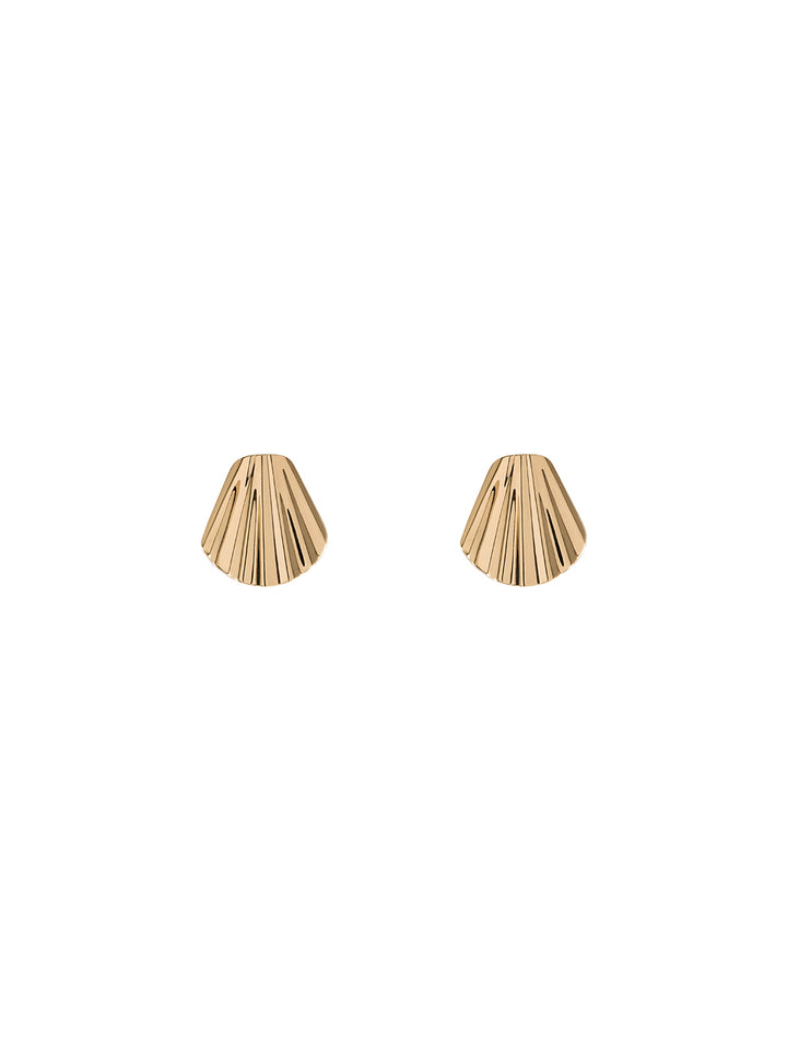 Mini Seashell Earrings
